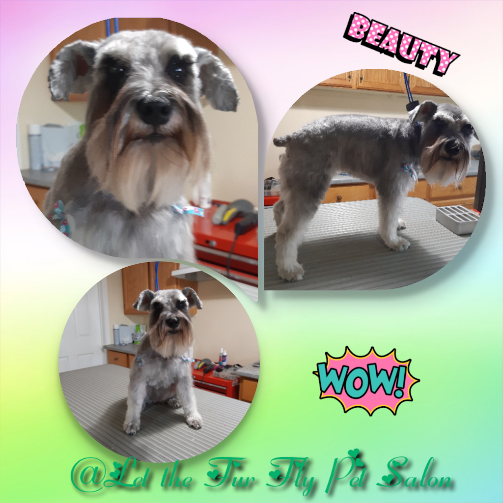 Let The Fur Fly Pet Salon | 102 Jessica Dr, Barrie, ON L4N 5Y9, Canada | Phone: (705) 252-0546