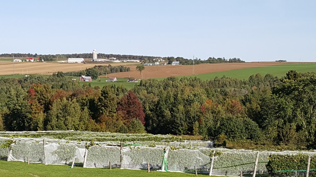 Vignoble Les Côtes Du Gavet | 1690 Chemin de lAqueduc, Tingwick, QC J0A 1L0, Canada | Phone: (819) 850-3391