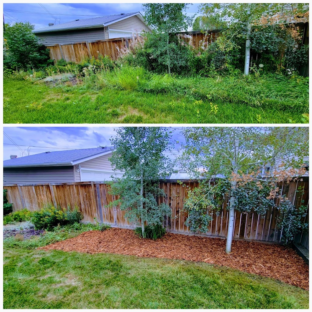 LAWN-KING | 210 Ave SE, Calgary, AB T2X 3C7, Canada | Phone: (587) 356-2151