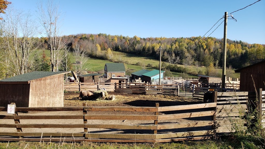 Ranch thérapeutique cheval de soie | 580 Chemin du Sanctuaire, Sherbrooke, QC J1H 0E1, Canada | Phone: (819) 620-3377