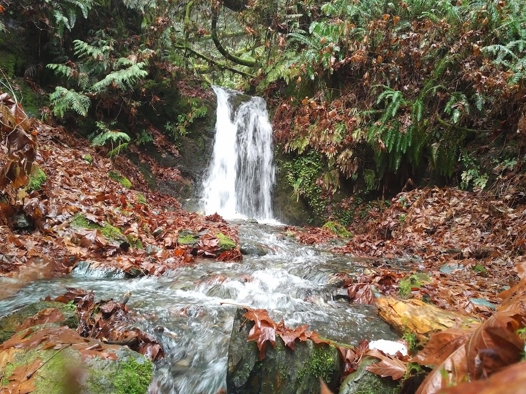 Hidden Falls In Goldstream Park | Langford, BC V0R, Canada