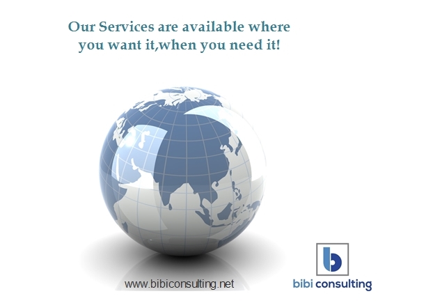 Bibi Consulting | 219 Rivertree St, Ottawa, ON K2M 0J4, Canada | Phone: (613) 986-3884