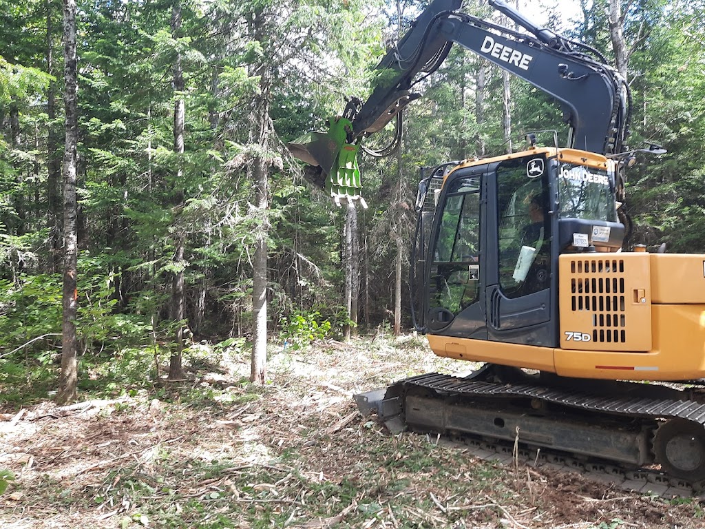 Mt.excavation et broyage forestier | 1211 Rte. du Fleuve, Les Éboulements, QC G0A 2M0, Canada | Phone: (581) 995-5669