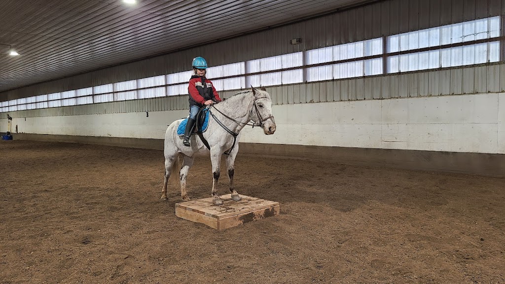 Country Hills Equestrian Centre | 283082 Township Rd 254, Alberta T1Z 0L9, Canada | Phone: (403) 990-6340