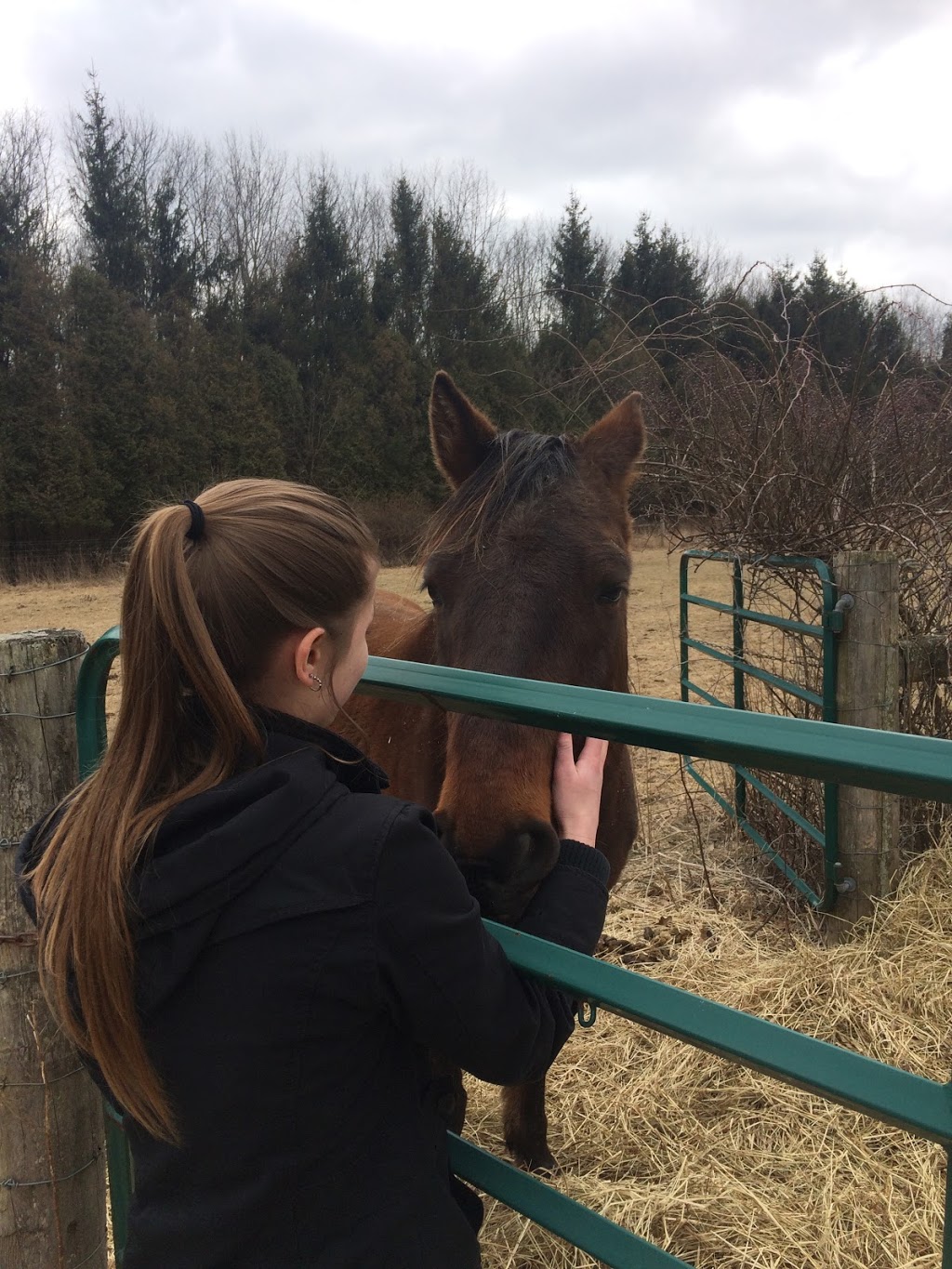 Country Lane Kennel | 1 Vermeulen Rd, St Williams, ON N0E 1P0, Canada | Phone: (519) 586-9442