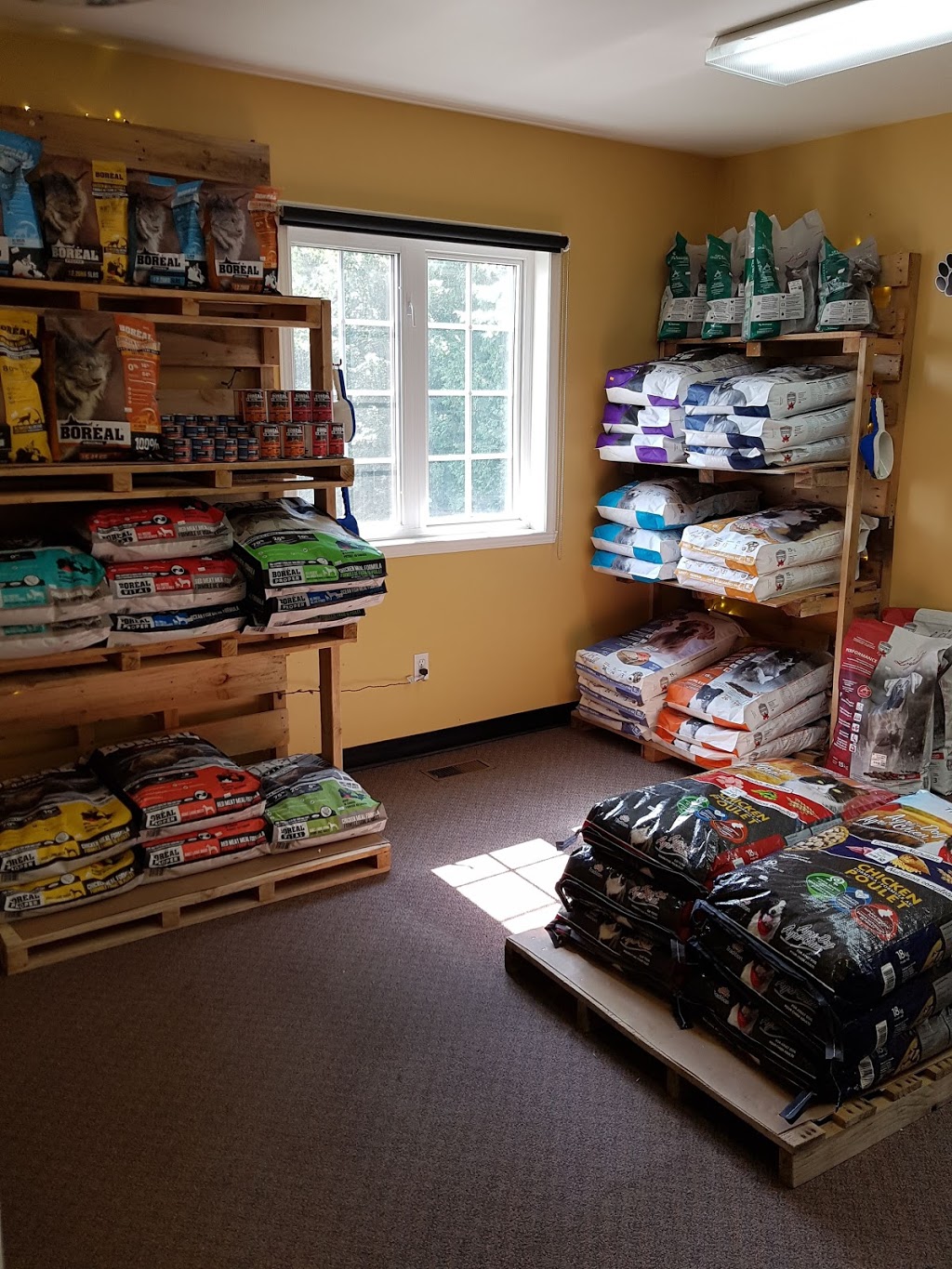 Animalerie Du Village | 528 Rue Frontière, Hemmingford, QC J0L 1H0, Canada | Phone: (450) 636-8813