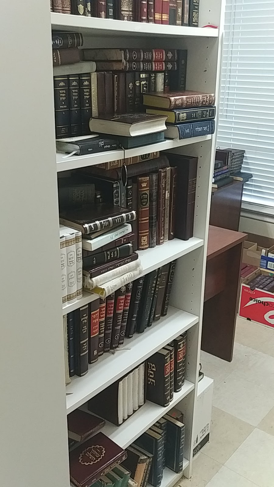 Used Jewish Books | 182 Caribou Rd, North York, ON M5N 2B6, Canada | Phone: (416) 782-8585