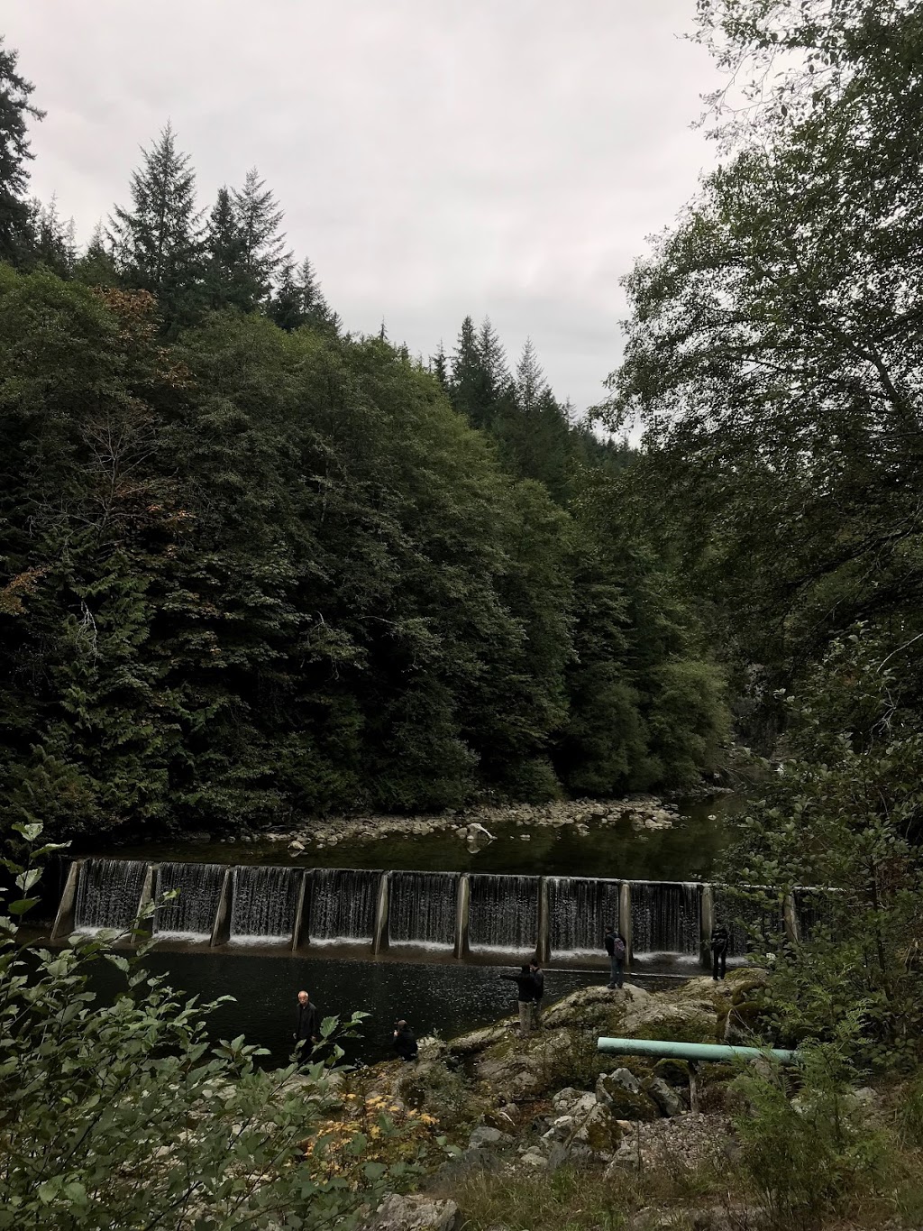 Capilano Hatchery | North Vancouver, BC V7R 4L2, Canada