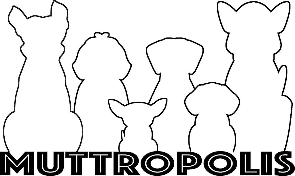 Muttropolis Dog Grooming | 4813 114 Ave NW, Edmonton, AB T5W 0T7, Canada | Phone: (825) 439-6675