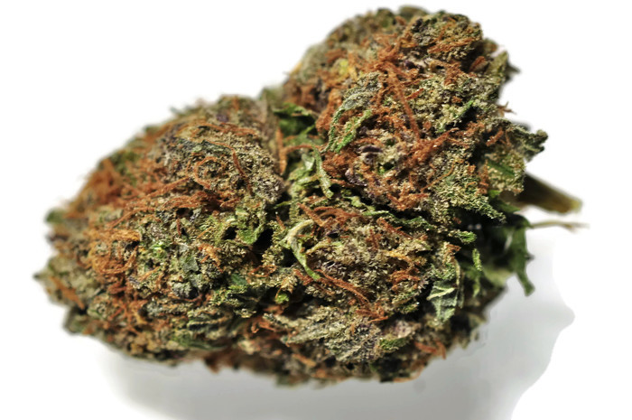 Candelivery Online Dispensary | 125 The Queensway #15363, Etobicoke, ON M8Y 0B4, Canada | Phone: (647) 631-1704