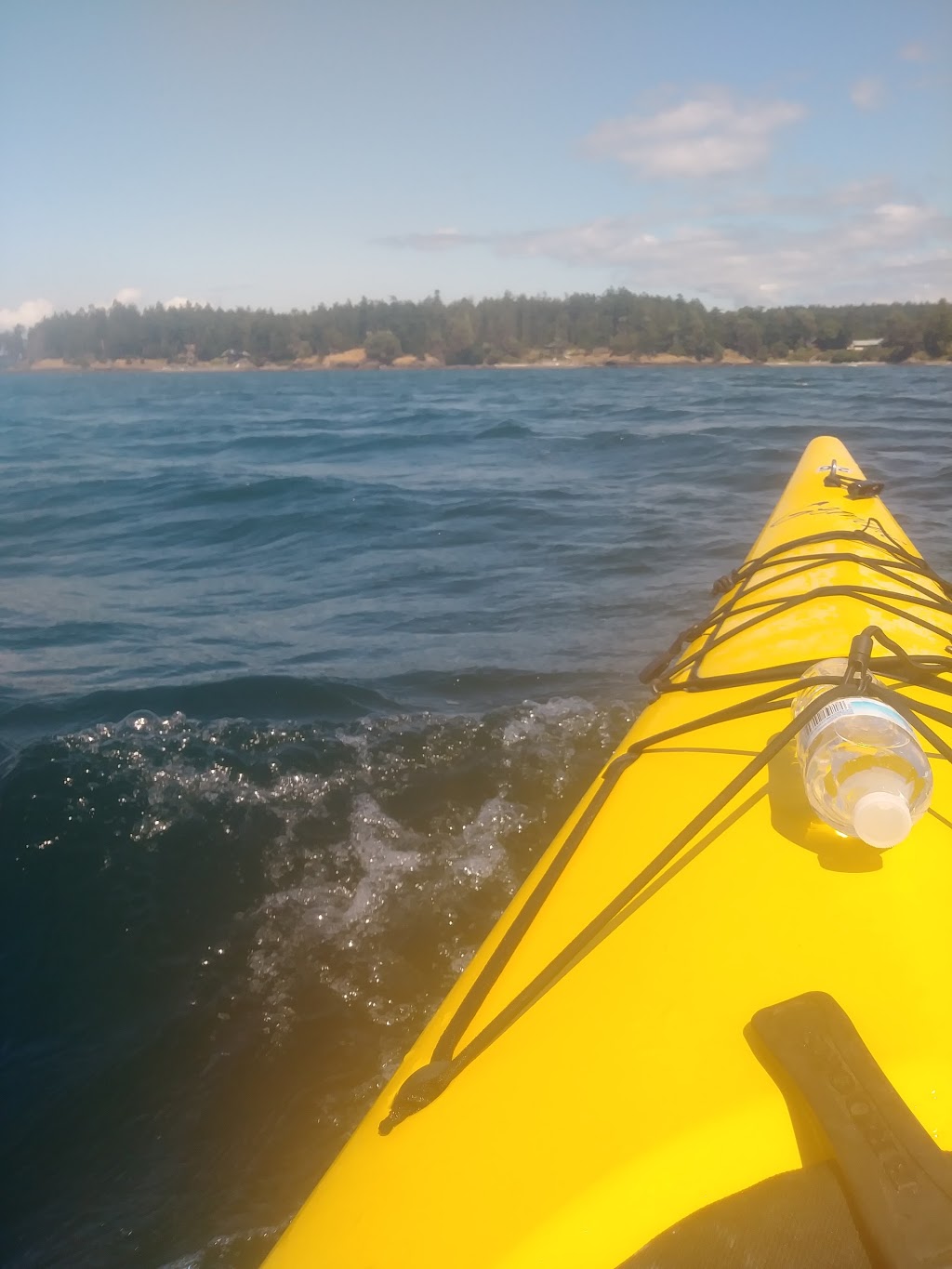 Crystal Seas Kayaking | 40 Spring St, Friday Harbor, WA 98250, USA | Phone: (360) 378-4223