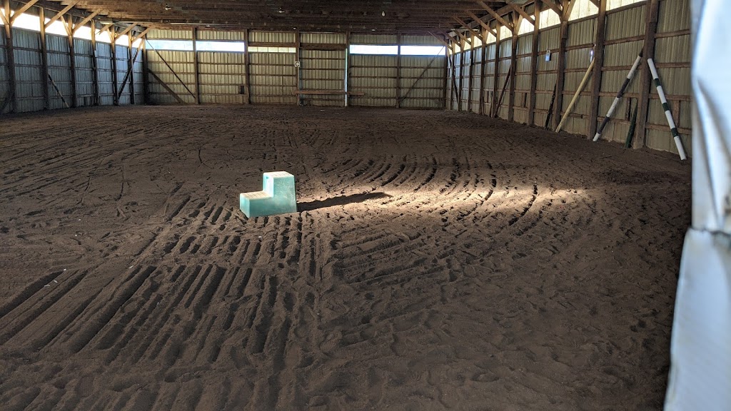 Fiddlers Green Stables | 6575 Flewellyn Rd, Ottawa, ON K2S 1B6, Canada | Phone: (613) 858-9366