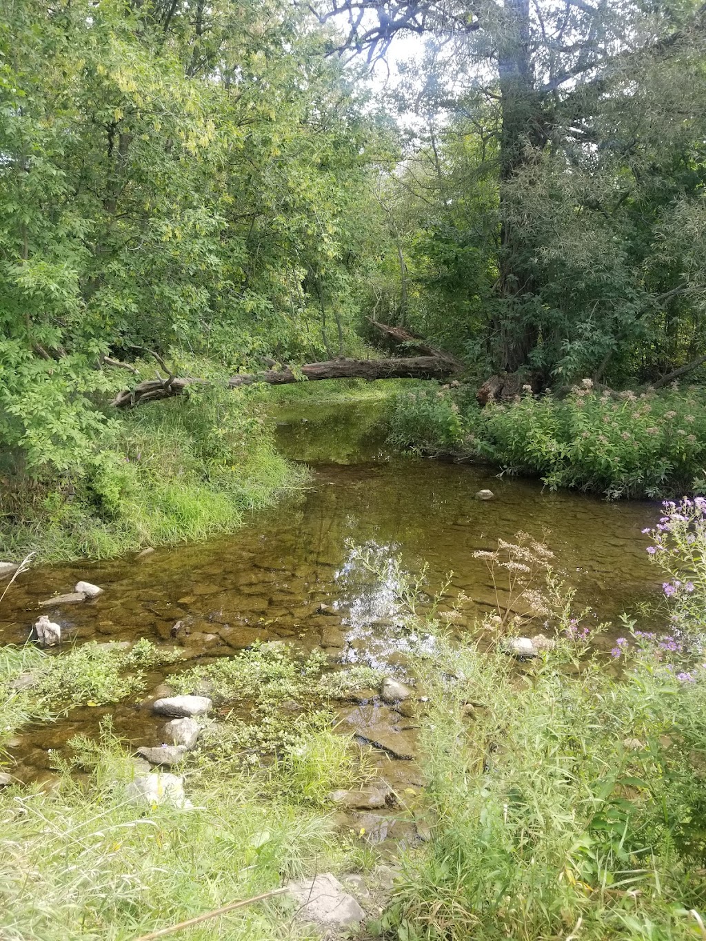 Potters Creek Conservation Area | 2061 Old Highway 2, Belleville, ON K8N 4Z2, Canada | Phone: (613) 968-3434