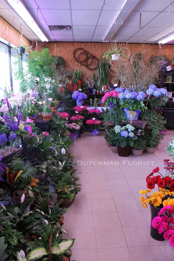 Dutchman Florist | 218 Barton St, Stoney Creek, ON L8E 2K2, Canada | Phone: (905) 662-3341