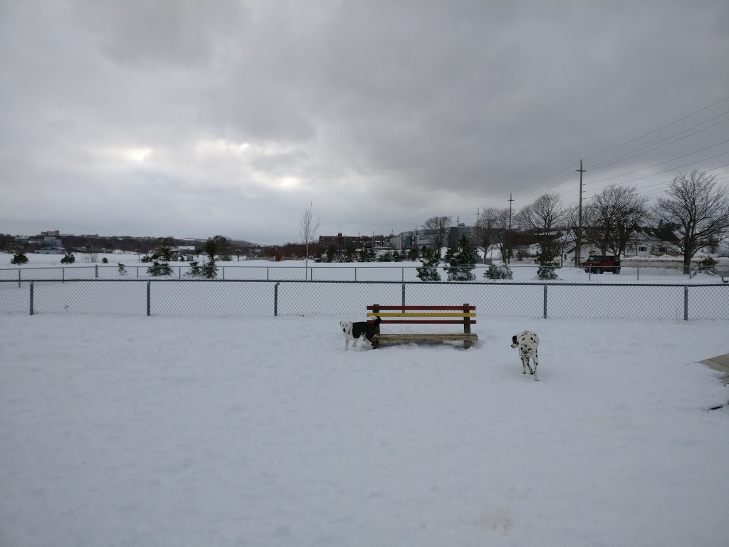 Quidi Vidi Lake Dog Park | 200-202 The Blvd, St. Johns, NL A1A 1N7, Canada