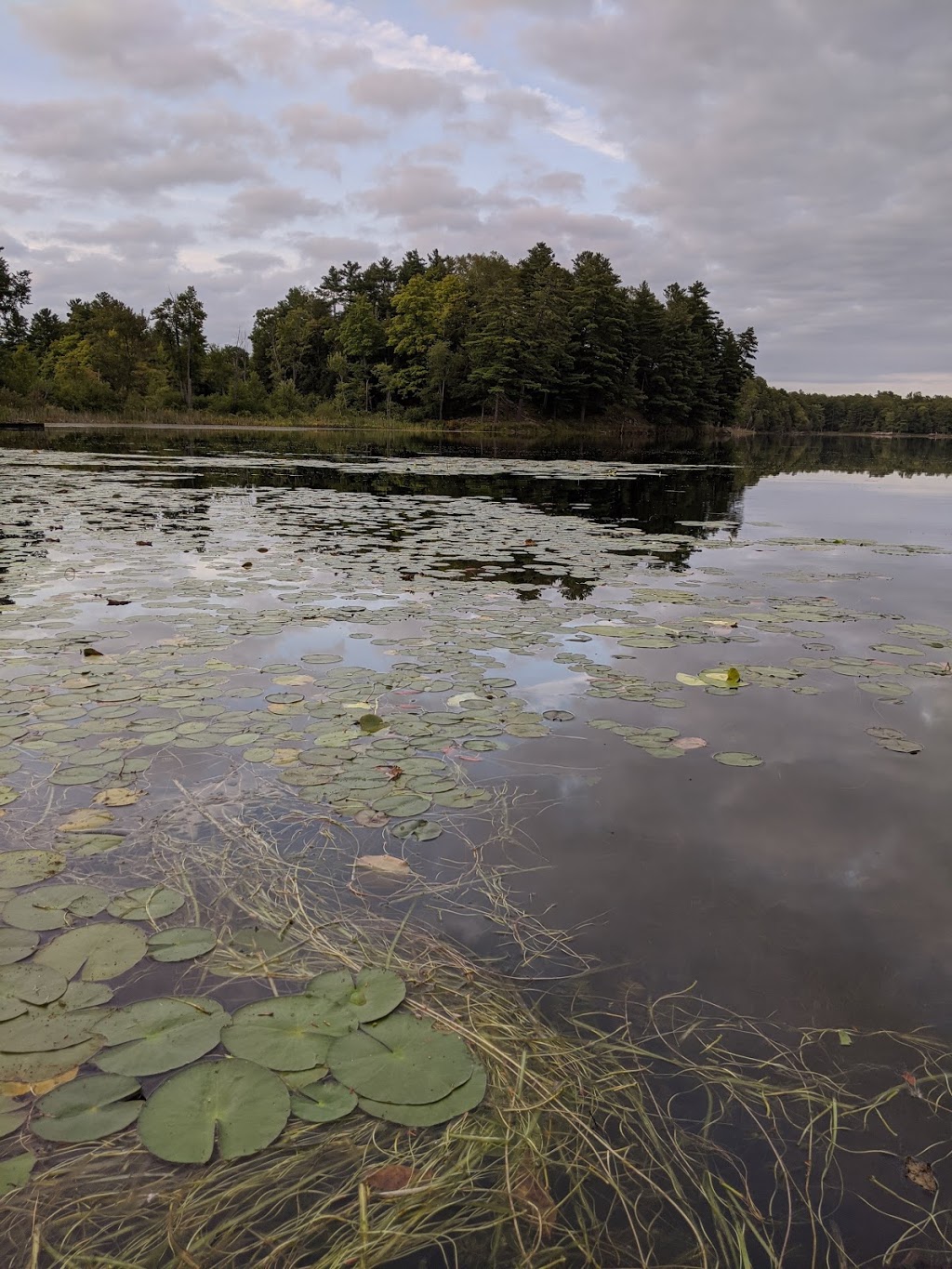 Elbow Lake Water Access Point | 6287 Salmon Lake Rd, Sydenham, ON K0H 2T0, Canada | Phone: (613) 546-4228