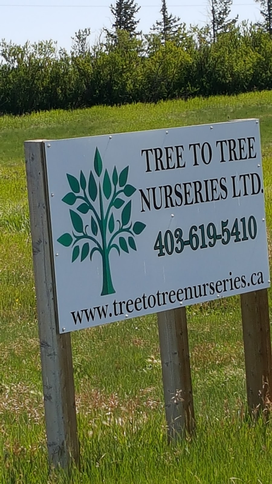 Tree to Tree Nurseries | 223 AB-1, Standard, AB T0J 3G0, Canada | Phone: (403) 619-5410