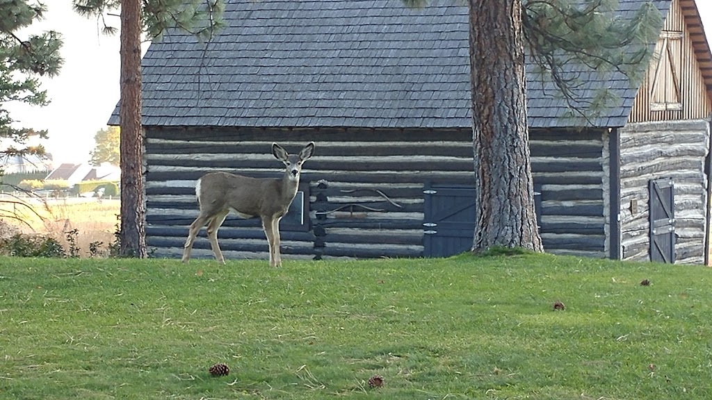 Gellatly Regional Heritage Park | West Kelowna, BC V4T 2K1, Canada | Phone: (250) 763-4918