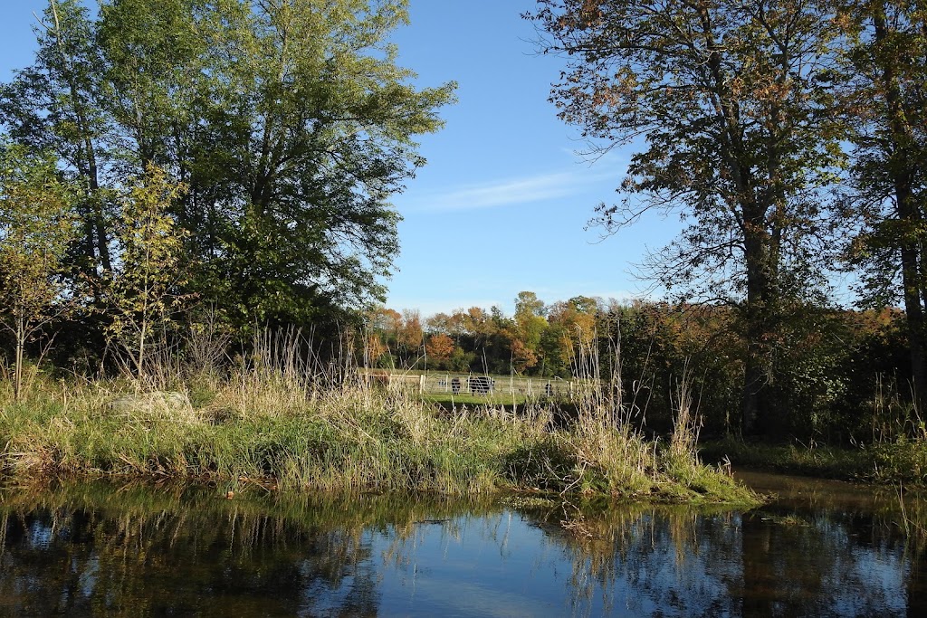 Snowy Creek Bison | 259105 Sarawak Keppel Townline, Kemble, ON N0H 1S0, Canada | Phone: (519) 374-3862