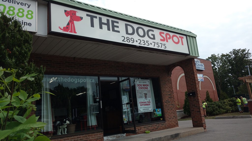 Dog Spot | 43 Main St E, Grimsby, ON L3M 1M7, Canada | Phone: (289) 235-7575