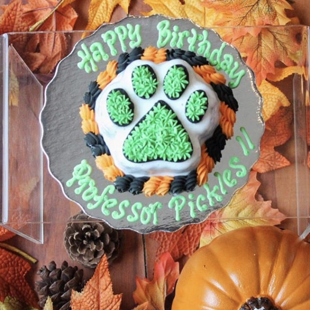 Pawsalicious Bakery | Thornhill, Ontario, Canada | Phone: (647) 284-7298