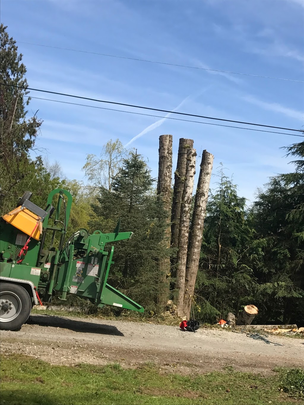 Give and Take Tree Service | 11125 232 St, Maple Ridge, BC V2X 1P3, Canada | Phone: (778) 872-8406