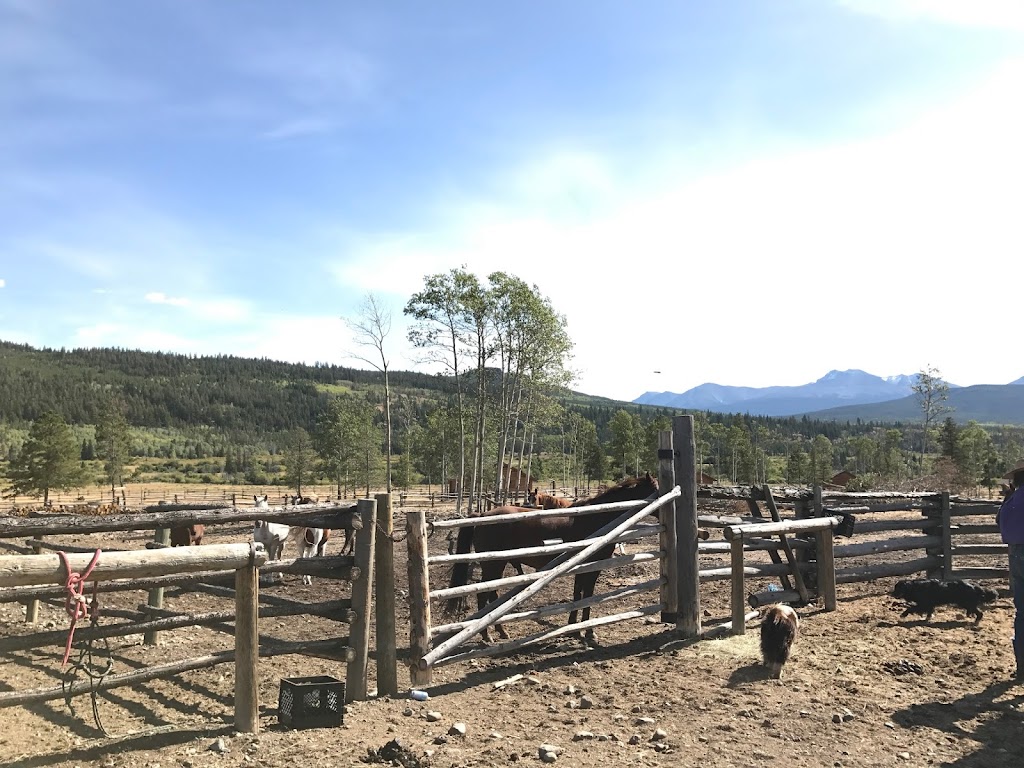 Elkin Creek Guest Ranch Airport | Cariboo J, BC V0L 1X0, Canada | Phone: (250) 394-5175