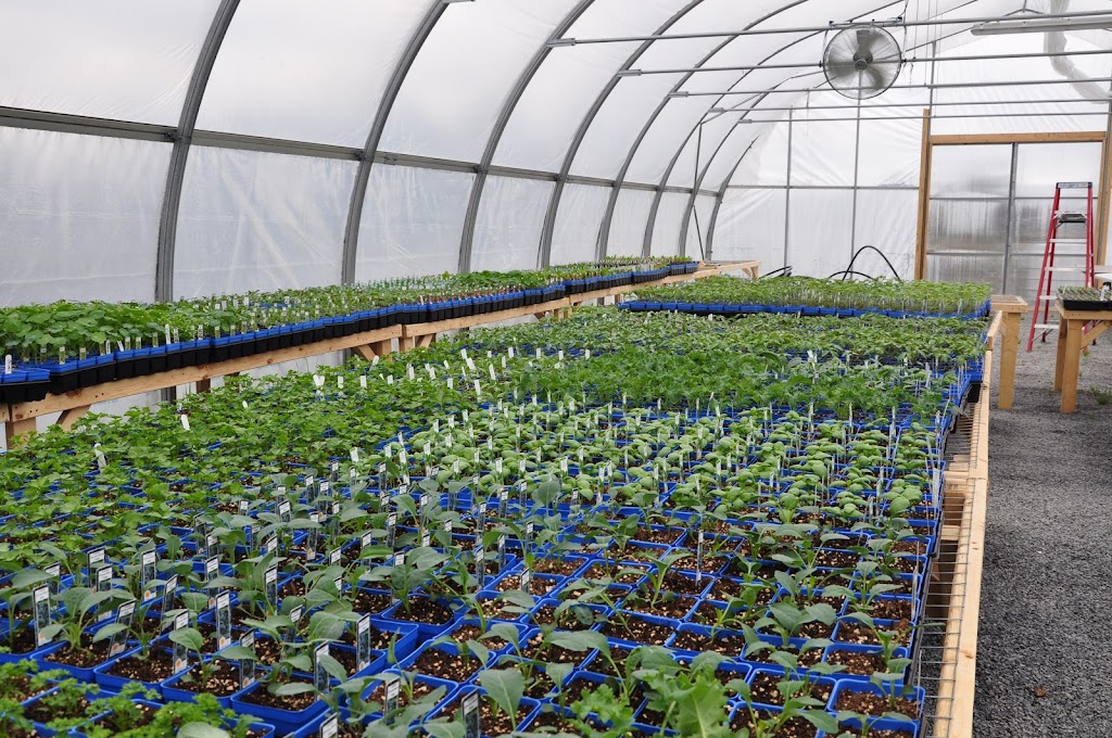 Greens Creek Organic Nursery | 2391 Pépin Ct, Gloucester, ON K1B 4Z3, Canada | Phone: (613) 663-4820