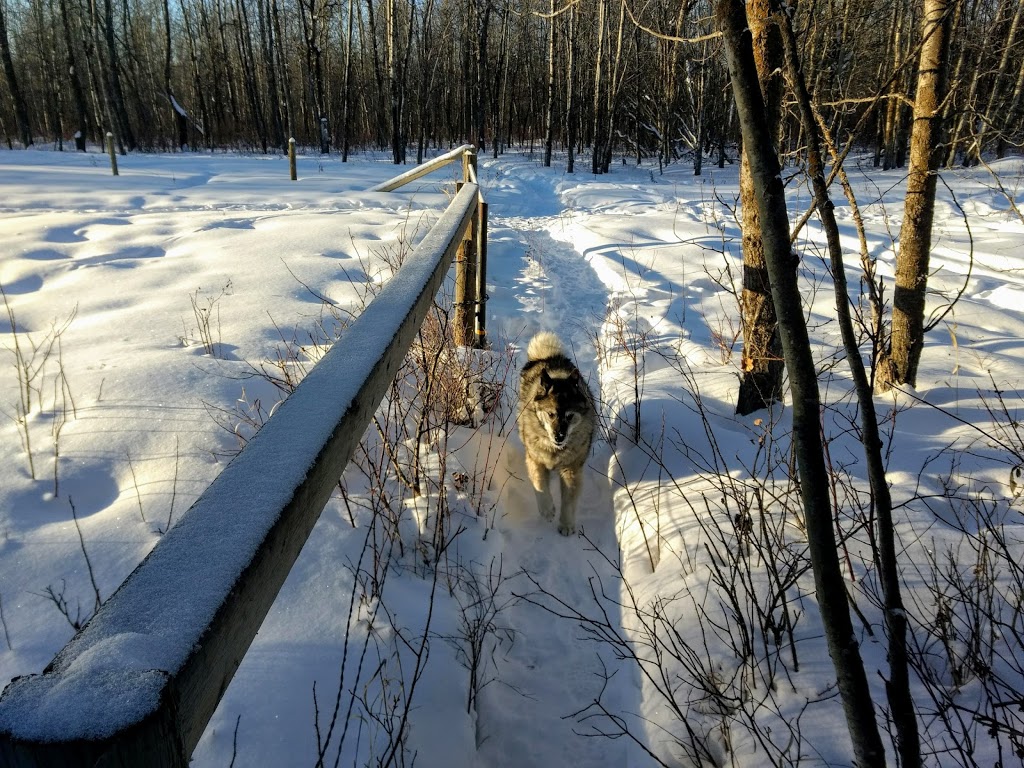 Riverlot 56 Natural Area | Poundmaker Rd, St. Albert, AB, Canada