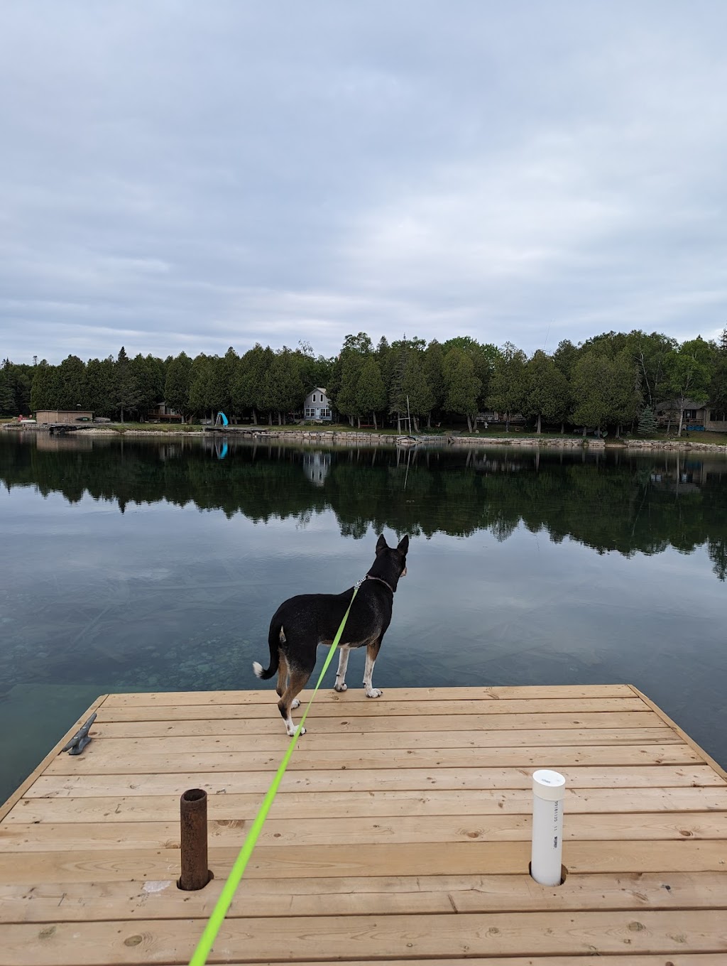 Johnston Harbour - Pine Tree Point Provincial Nature Reserve | Miller Lake, ON N0H 1Z0, Canada | Phone: (519) 389-9056