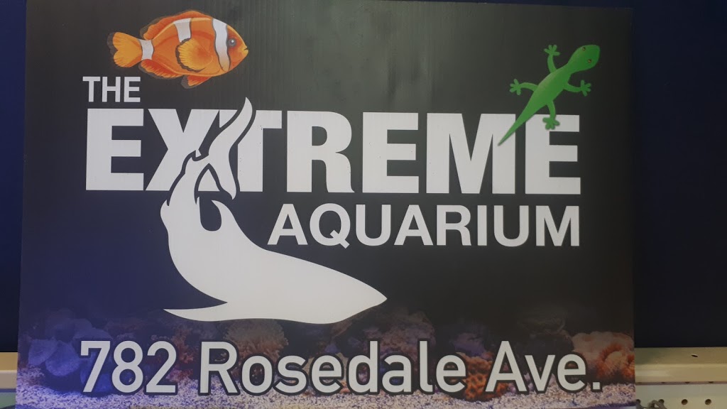 The Extreme Aquarium | 782 Rosedale Ave, Sarnia, ON N7V 2A1, Canada | Phone: (519) 328-7226