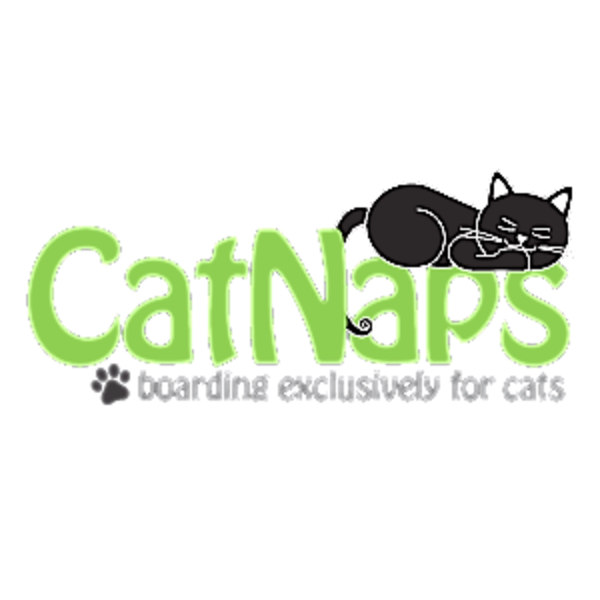 CatNaps Boarding Exclusively for Cats | 338072 40 St W, DeWinton, AB T0L 0X0, Canada | Phone: (403) 982-2287