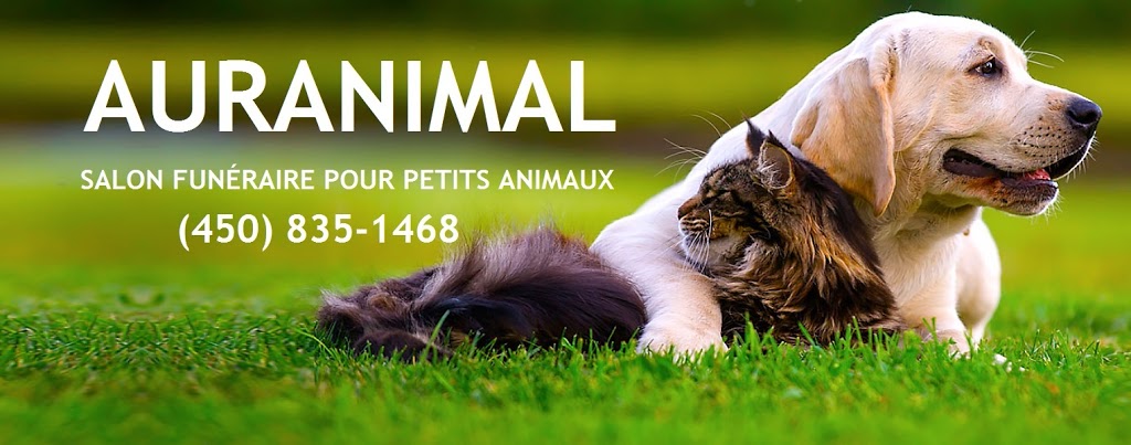 Auranimal, salon funéraire pour petits animaux | 1840 Rue Saint-Cléophas, Saint-Gabriel-de-Brandon, QC J0K 2N0, Canada | Phone: (450) 835-1468