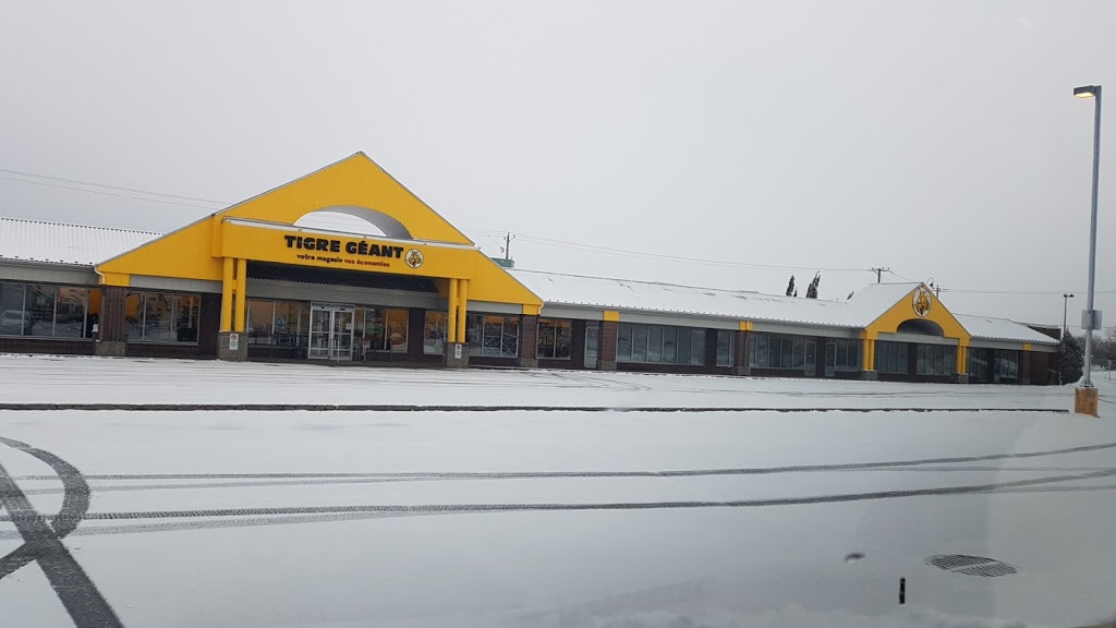 Tigre Géant | 218 Rue Quévillon, Varennes, QC J3X 1K1, Canada | Phone: (450) 652-0121