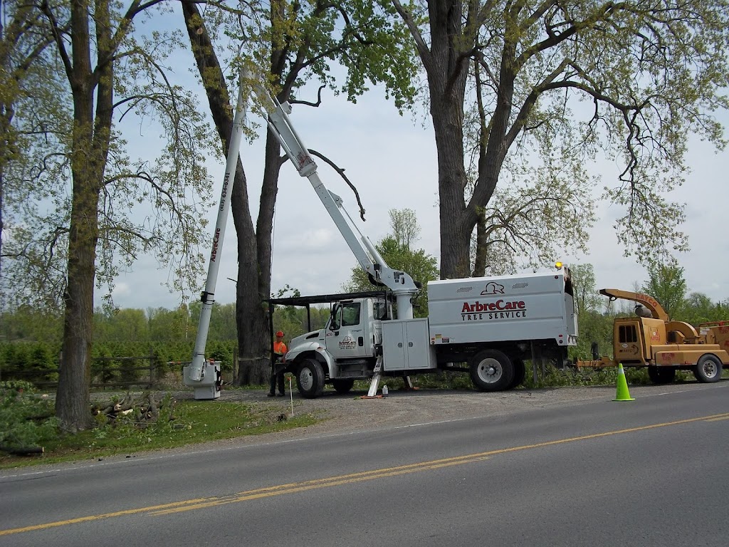 ArbreCare Tree Service | 150 Binnington Ct, Kingston, ON K7M 8N1, Canada | Phone: (613) 634-6341