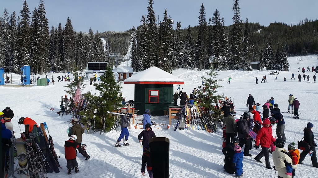 Baldy Mountain Resort | 2680 Mount Baldy Rd, Oliver, BC V0H 1T0, Canada | Phone: (250) 498-4086