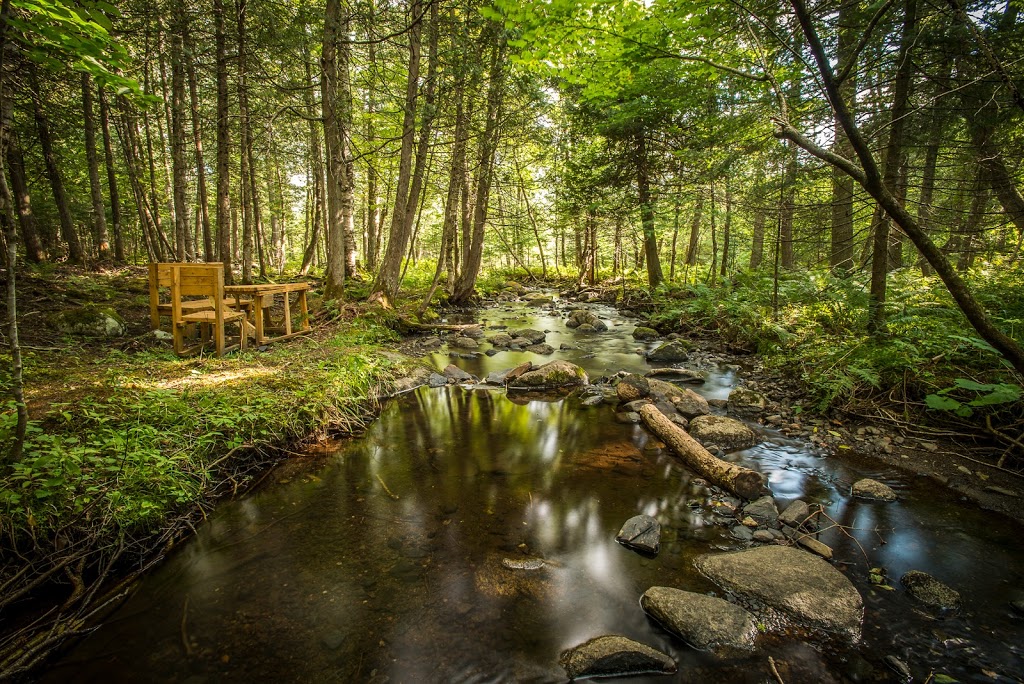 Hébergement aux Cinq Sens | 250 Rang des Grenier, Piopolis, QC G0Y 1H0, Canada | Phone: (819) 583-0885