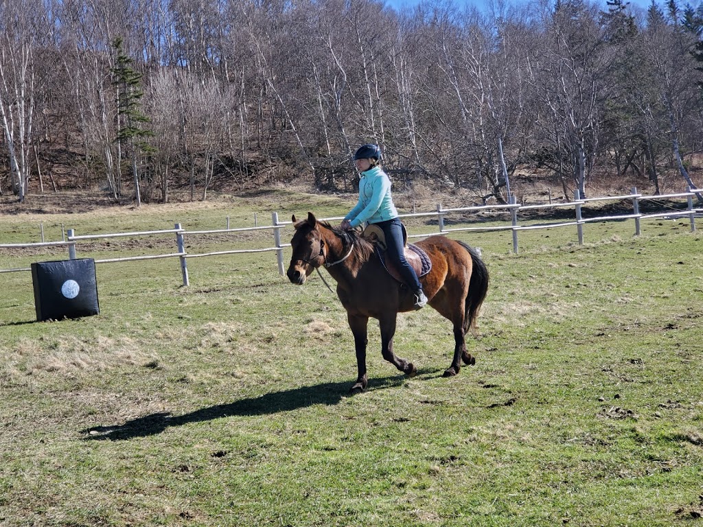 Wild Mountain Farm | 8 Old Baxters Mill Road RR#5, Canning, NS B0P 1H0, Canada | Phone: (902) 670-0860