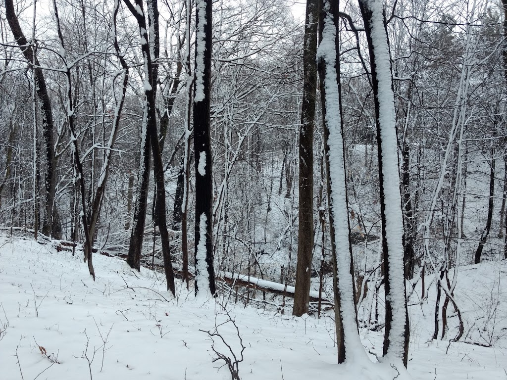 Lathrop Nature Preserve | Fonthill, Pelham, ON L0S 1E3, Canada