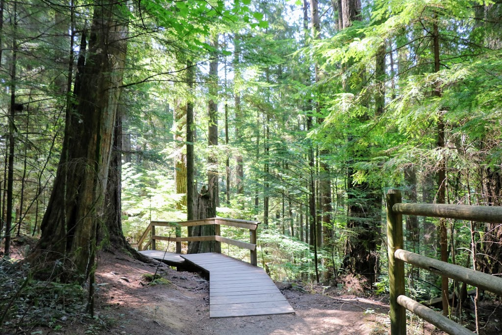 Lynn Canyon Ecology Centre | 3663 Park Rd, North Vancouver, BC V7J 3G3, Canada | Phone: (604) 990-3755