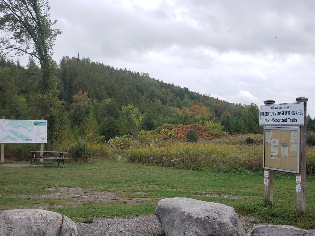 Harold Town Conservation Area Mountain Bike Trails | 2611 Old Norwood Rd, Peterborough, ON K9J 6X8, Canada | Phone: (705) 745-5791