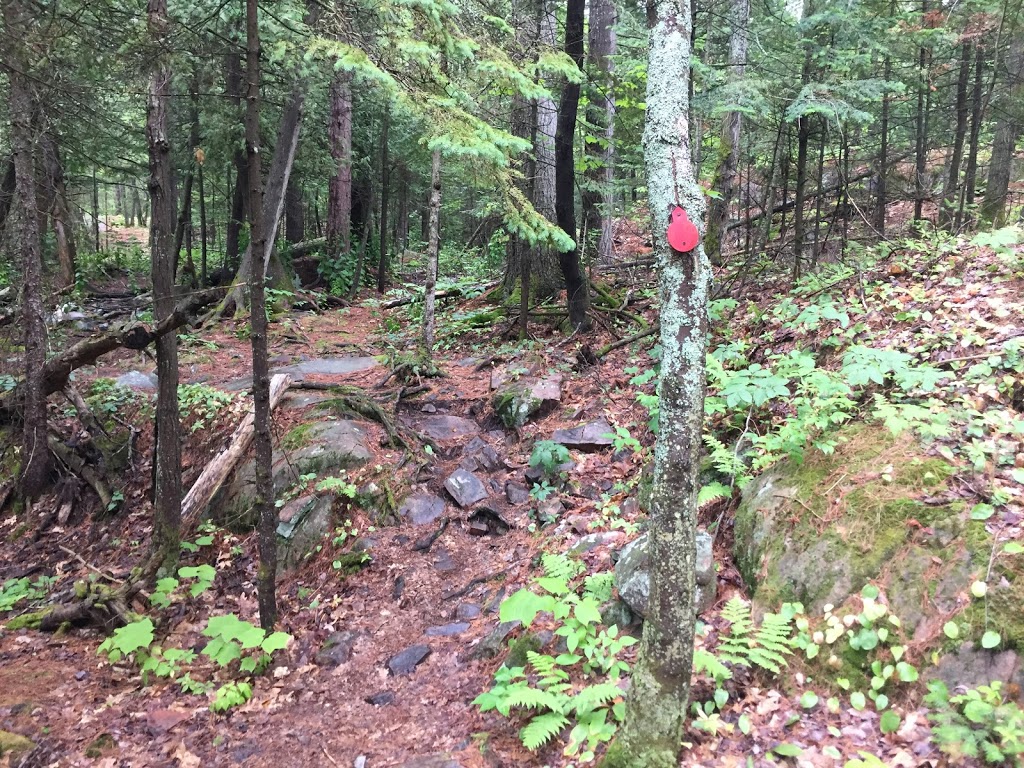 Cranberry Bog Trail | Killarney, ON P0M, Canada | Phone: (705) 287-2900