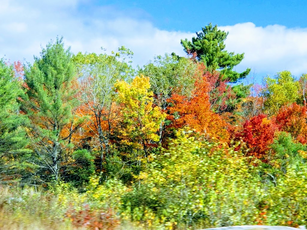 Round Lake Provincial Nature Reserve | Whitestone, ON P0G, Canada | Phone: (705) 342-5492