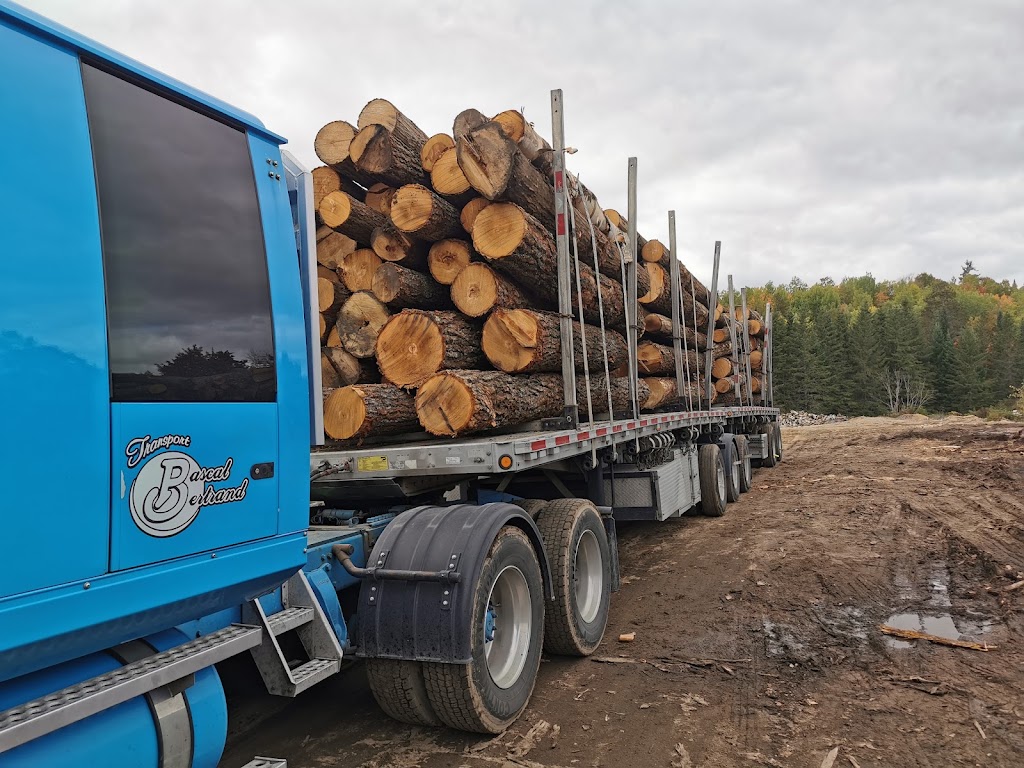 Len Rumleskie and Sons Lumber Co. Ltd. | 268 Rumleski Rd, Barrys Bay, ON K0J 1B0, Canada | Phone: (613) 281-0613