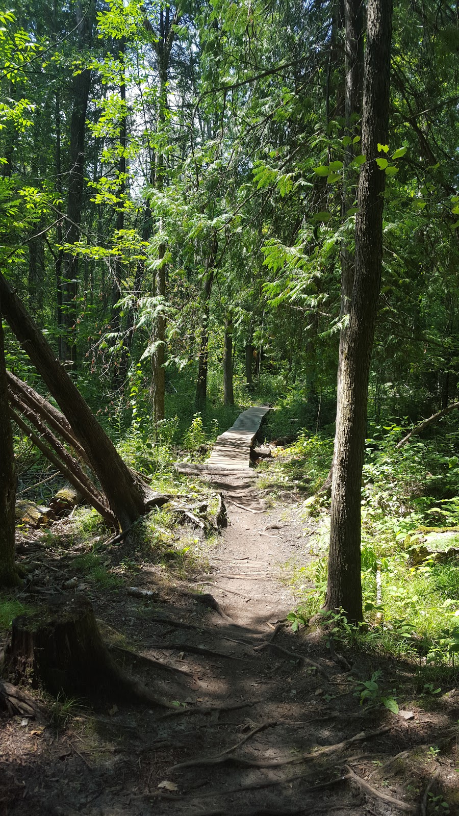 Ravenshoe Trailhead | McCowan Rd, East Gwillimbury, ON L0E, Canada