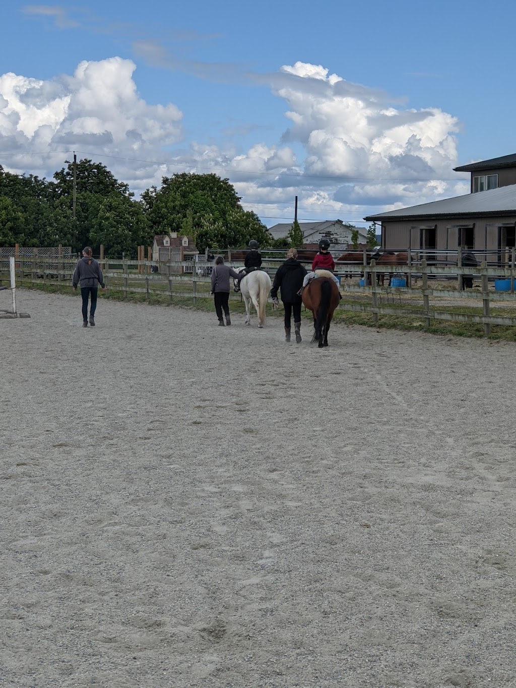 Pony Pals Therapeutic Riding Assn | 3885 96 St, Delta, BC V4K 3N3, Canada | Phone: (604) 590-0097