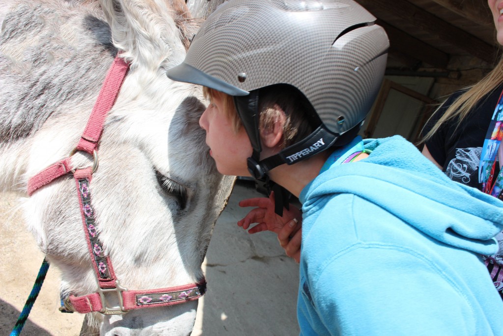 Sunrise Therapeutic Riding & Learning Centre | 6920 Concession 1, Puslinch, ON N0B 2J0, Canada | Phone: (519) 837-0558