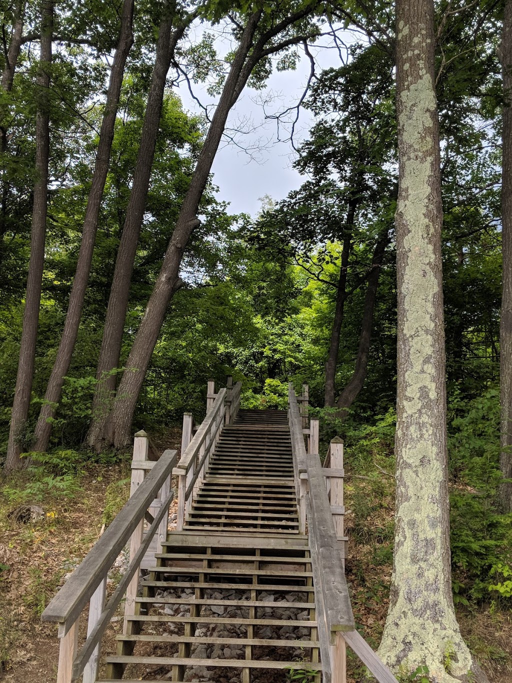 Wendat Hiking Trail | Unnamed Road, Tiny, ON L0K, Canada