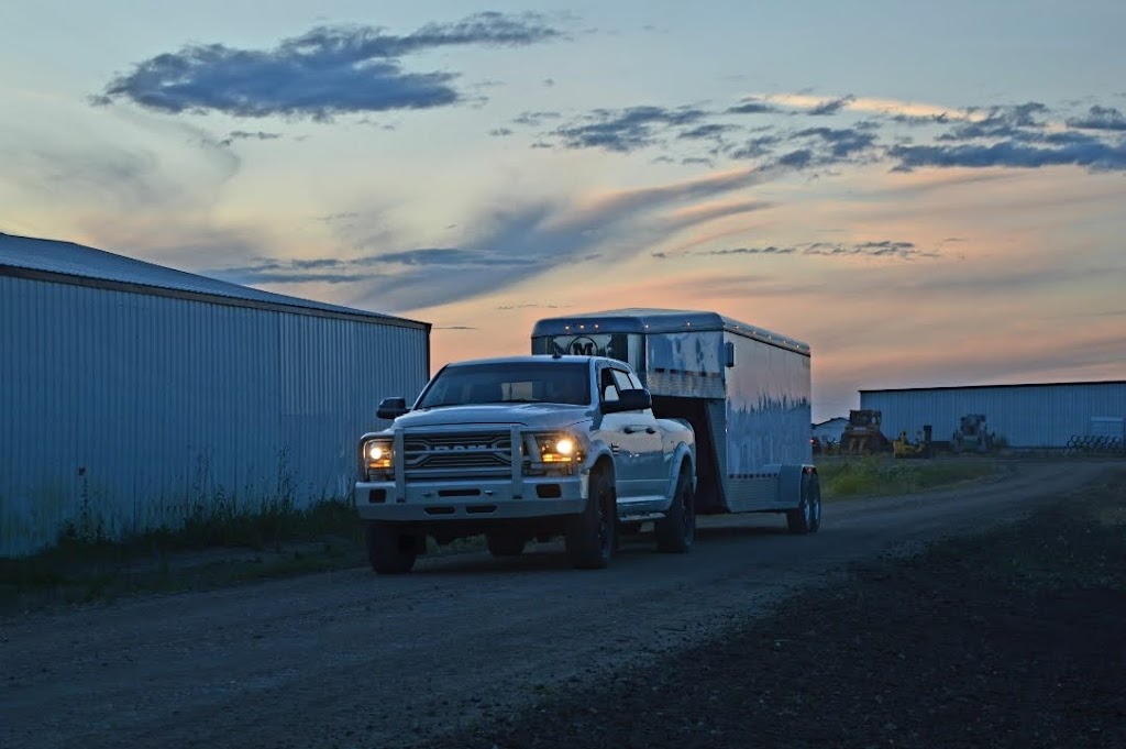 Holden Colony Produce | 49212 Range Rd 165, Holden, AB T0B 2C0, Canada | Phone: (780) 385-8313