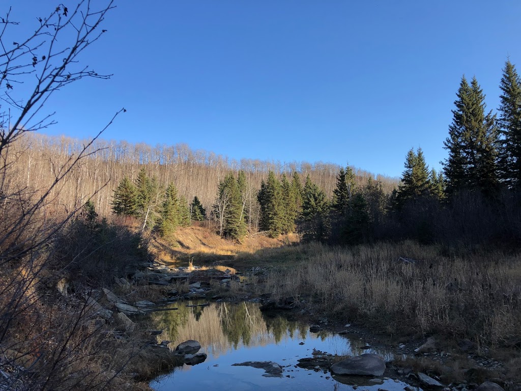 Creek-Lands Foot Trails | Township Rd 502A, Thorsby, AB T0C 2P0, Canada